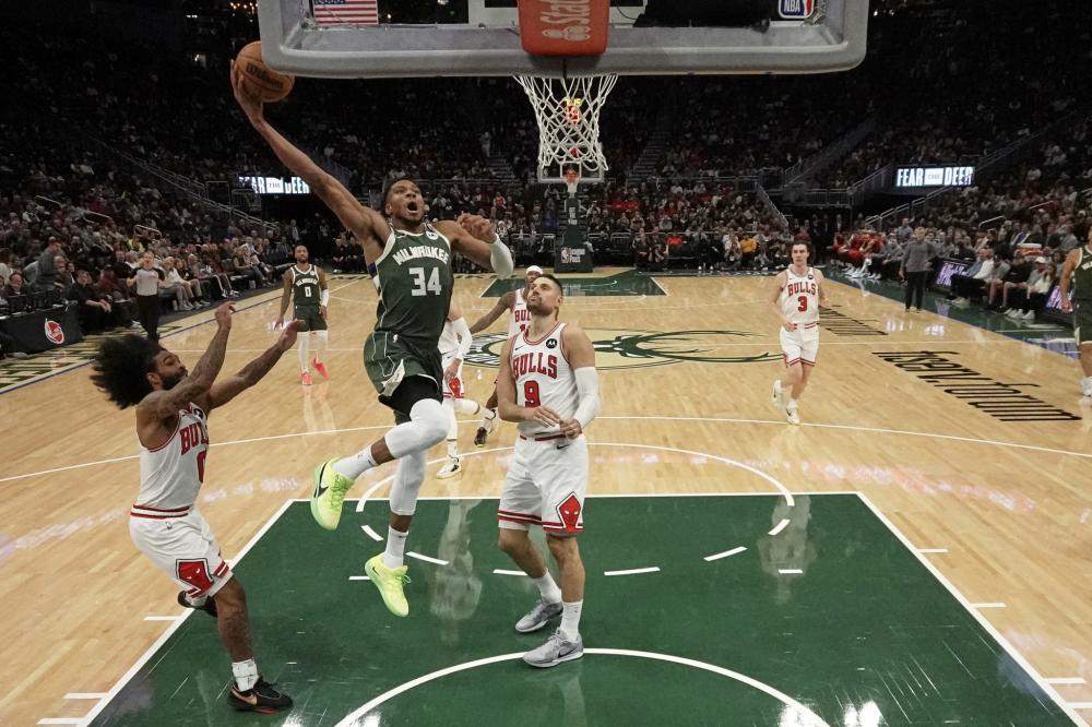 冠军得主 冠军得主